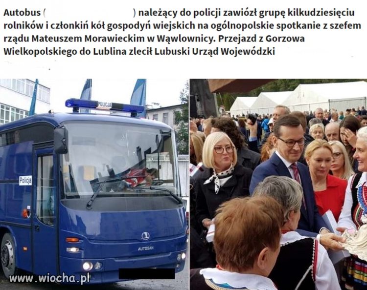 Ot takie standardy wzięte prosto