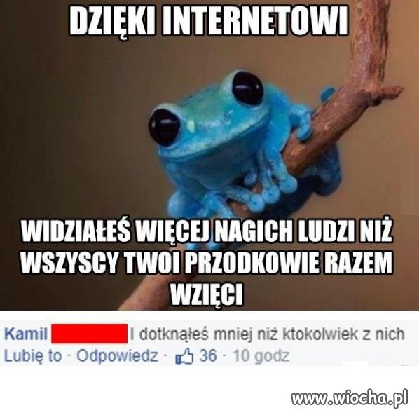 Tak jest