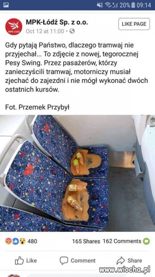 Bydło