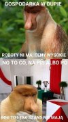 Po wyborcze reminiscencje 