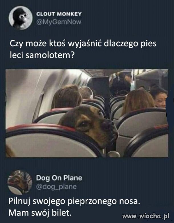 Pilnuj