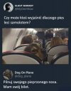 Pilnuj