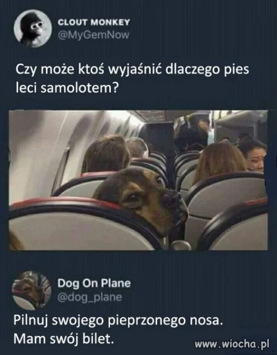 Pilnuj