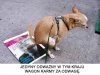 Dobrze trafił