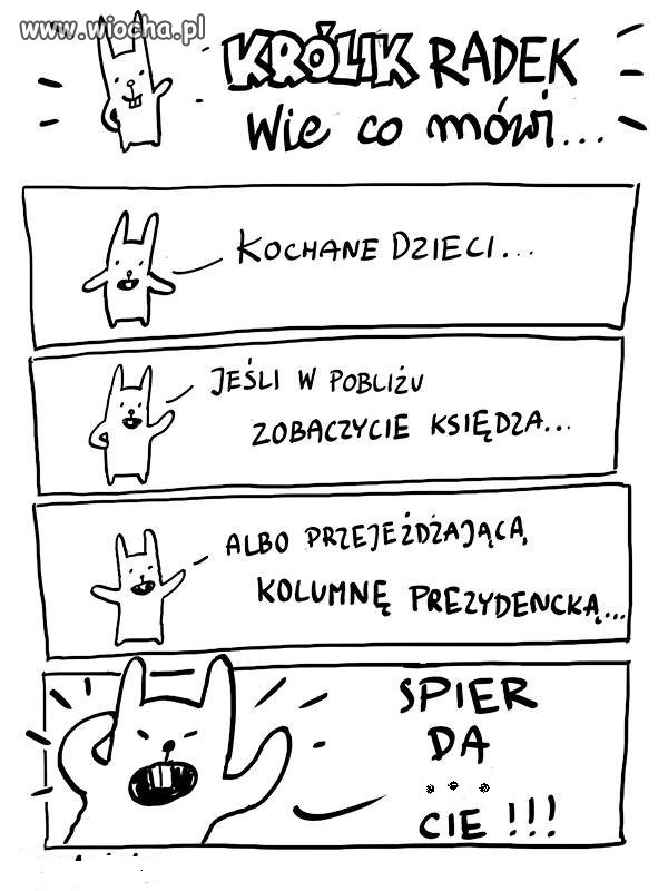 Porad kilka 