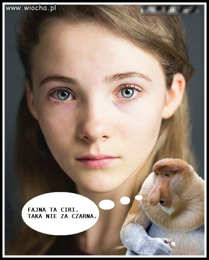 Netflix się opamiętał.
