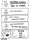 Królik