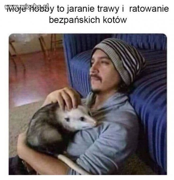 Jaranie trawy i ratowanie bezpańskich kotów...