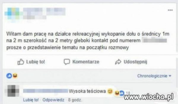 Nic dodać,