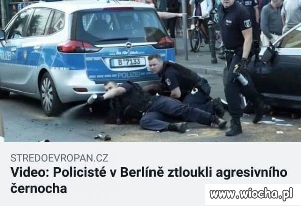 Czesi piszą krótko i na temat