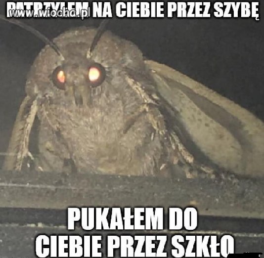 Idzie zima i na szczęście będzie mniej tego...