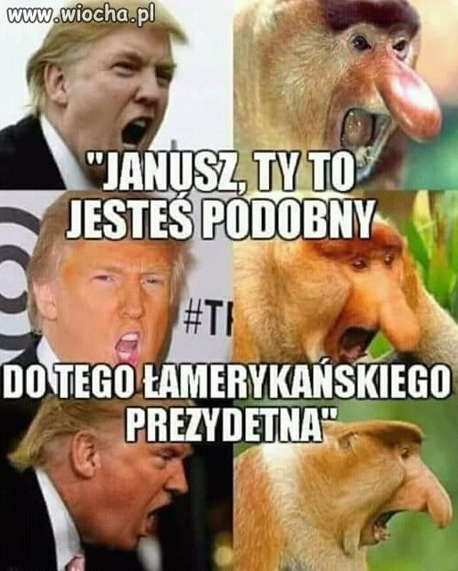 Jak dwie krople