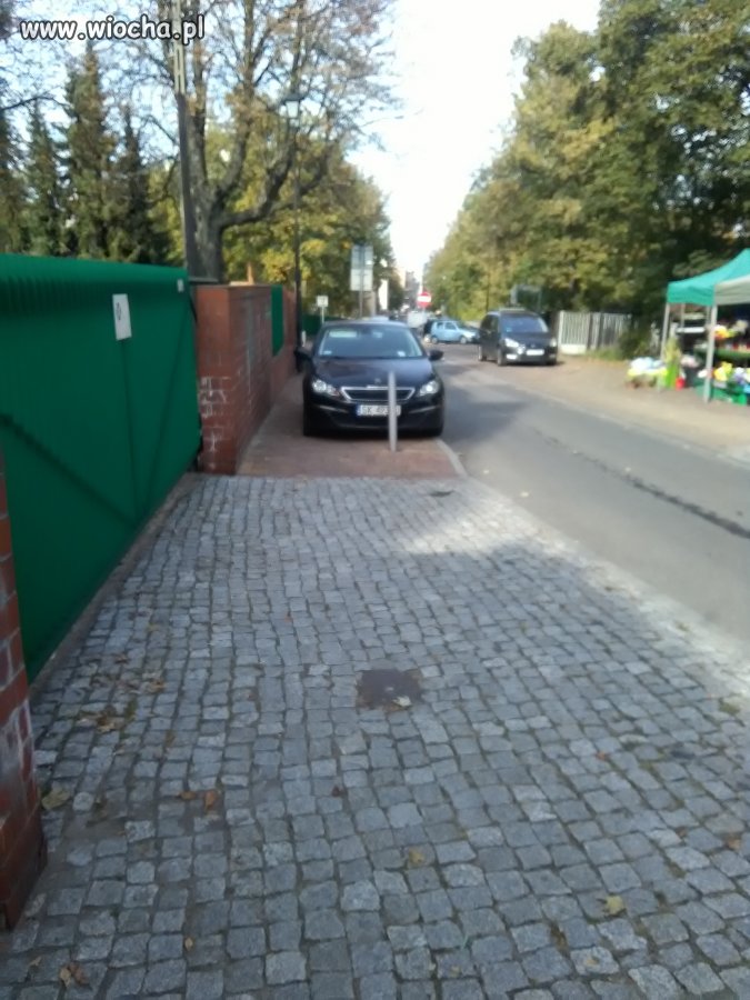 Zlot geniuszy 
