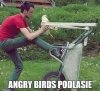 Bo na Podlasiu jest wesoło