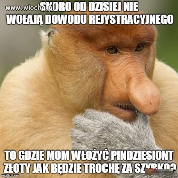 JAK TO?