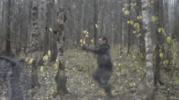 Karate.