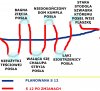 Budowa dróg według PiS 