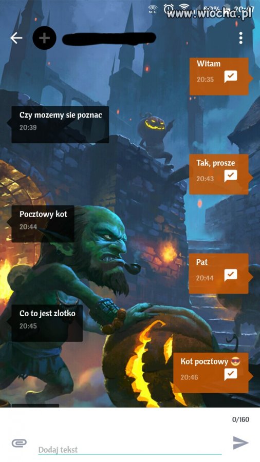 Kot pocztowy