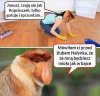 Kopciuszek