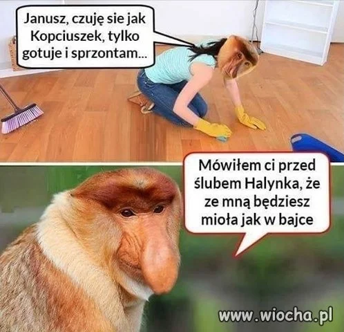 Kopciuszek