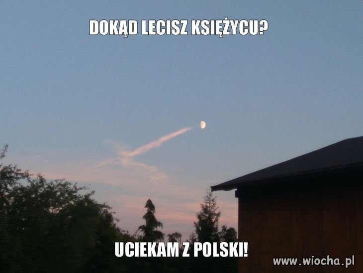 Heheszki polityczne