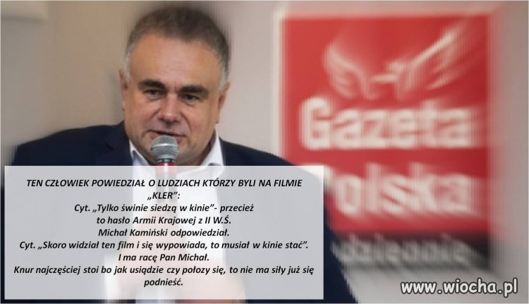 Tylko świnie siedzą w kinie...