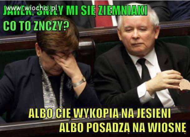 Bez komentarza
