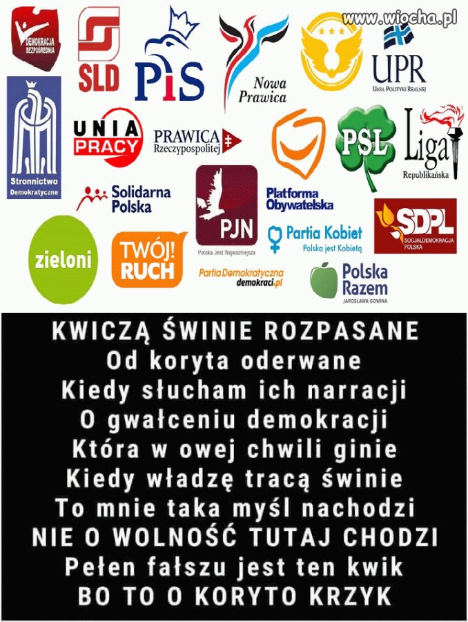 Są różne gatunki świń