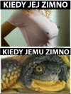 Różnica: