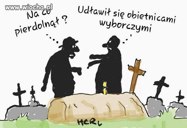 Piękna wizja