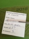 Trzeba być bogatym, żeby chorować.