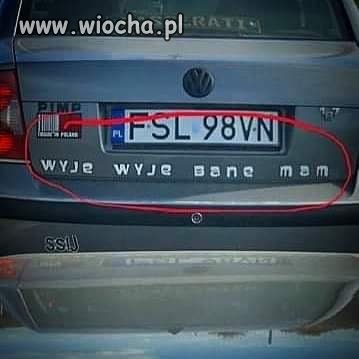 Sebix z dystansem do świata.