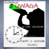 Uwaga
