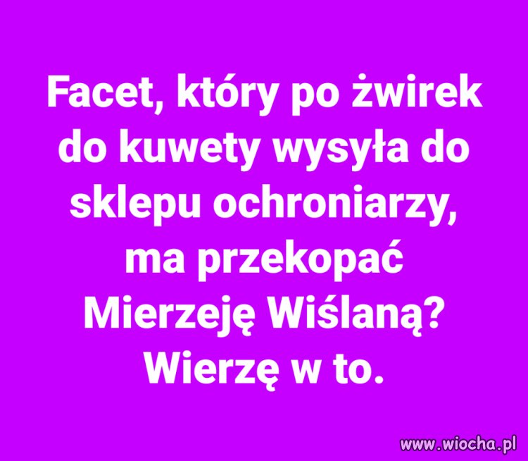 Żwirek, kuweta, mierzeja...