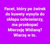 Żwirek, kuweta, mierzeja...