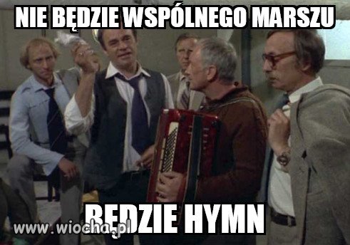 Bareja wiecznie żywy