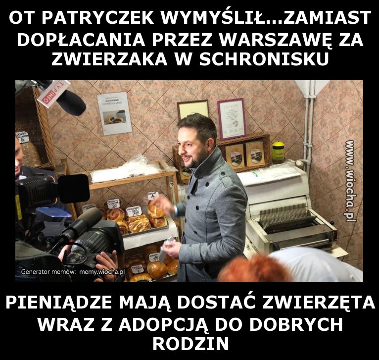 Jadę do Wawy biore cztery koty dwa psy po drodze 