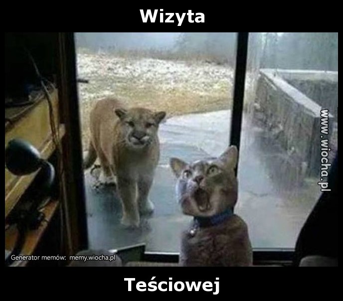 Wizyta