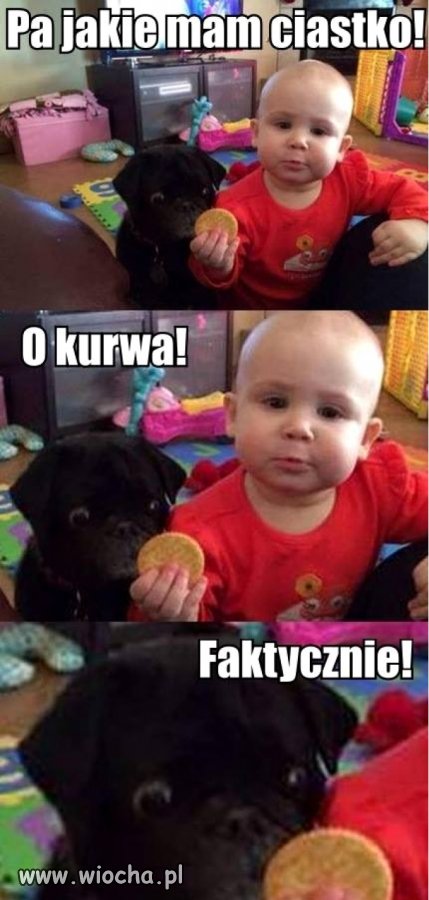 Prawie go