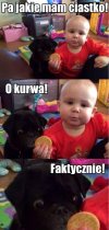 Prawie go