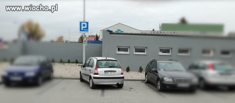 Mistrz parkowania