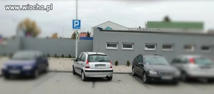 Mistrz parkowania