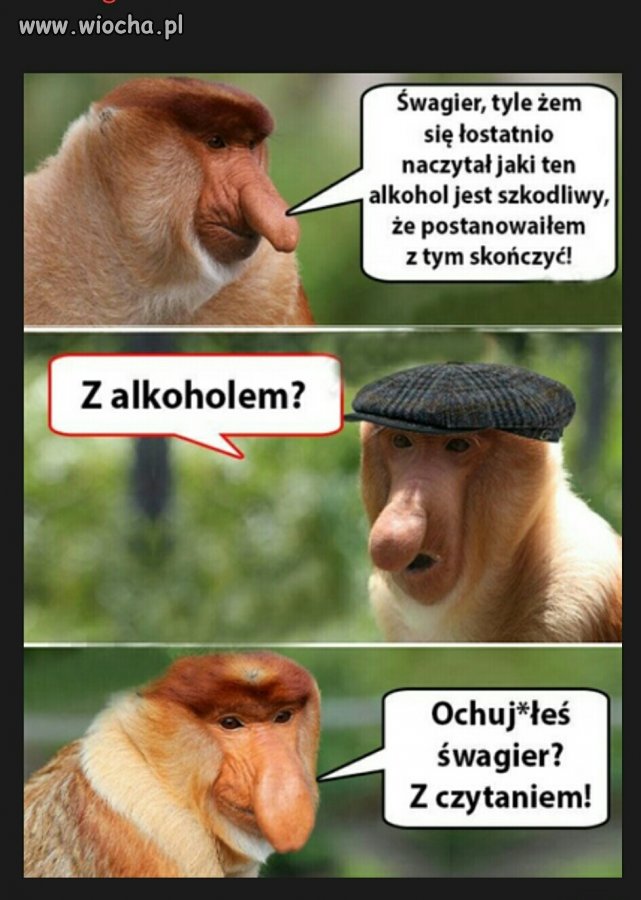 Szwagier lepiej tego nie rób 