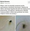 Halina