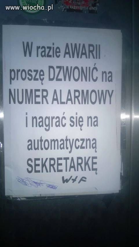Rewelacja