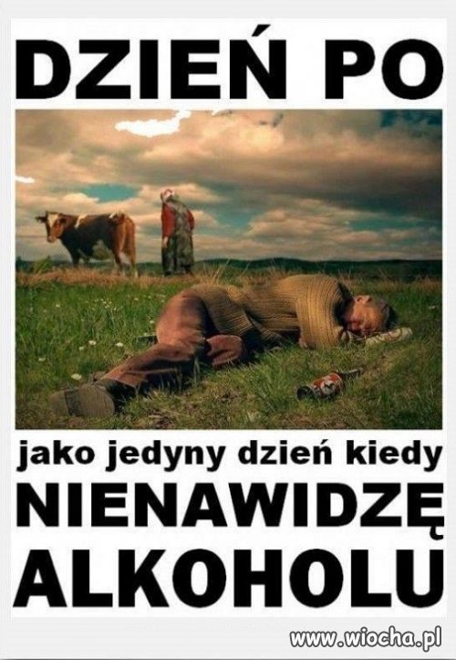 Jest taki dzień...