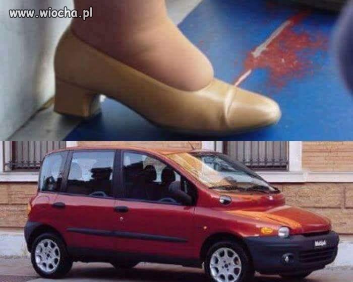 Zainspirowane naturą