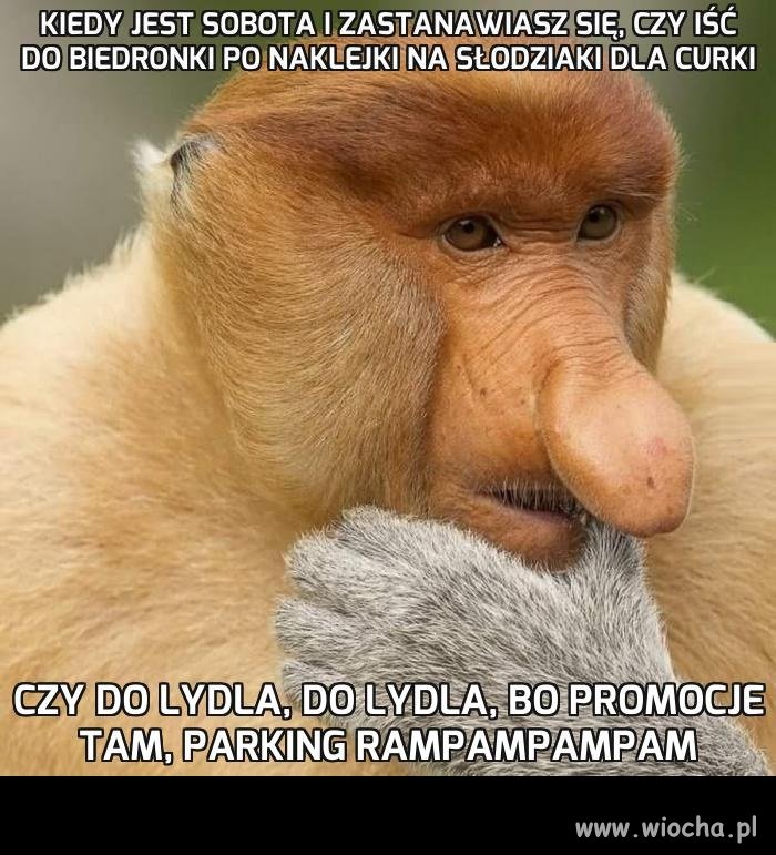 Ciężki dylemat