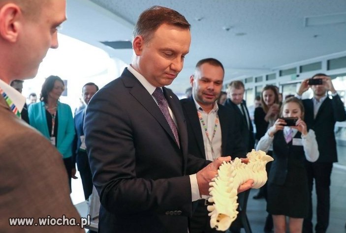 Andrzeju, tak wygląda kręgosłup.
