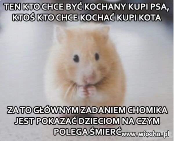 Cała prawda
